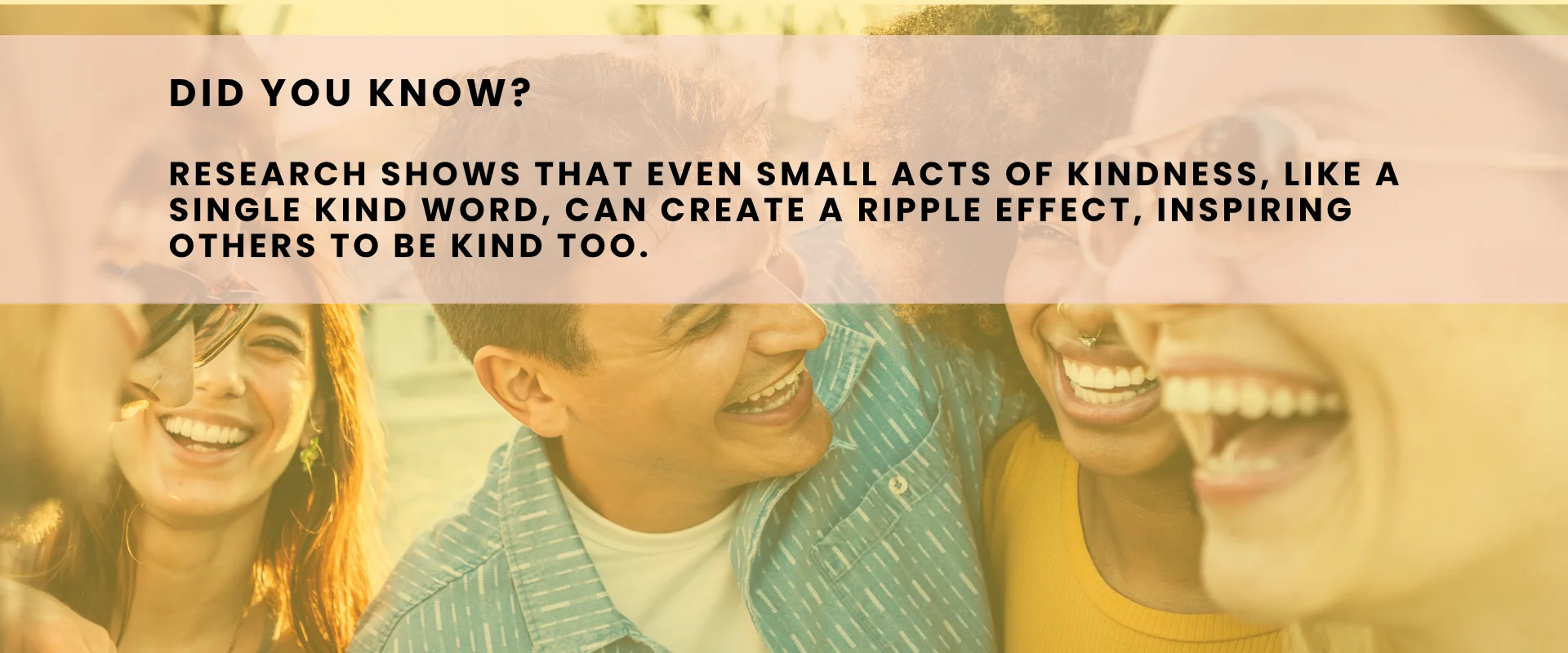 Wall of Kindness research