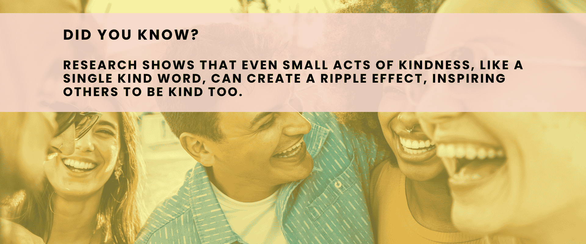 Wall of Kindness research